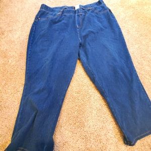 Terra and Sky Jegging capri 2x